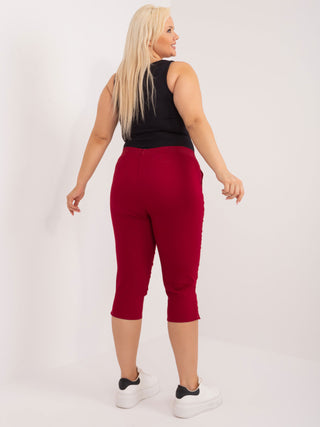 Spodnie-AT-SP-J295.13-bordowy