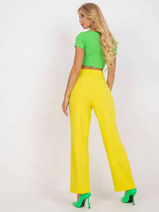 Spodnie-TO-SP-18155.21P-żółty